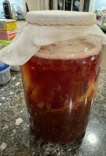 Kombucha in one-gallon glass jar.